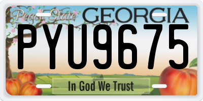 GA license plate PYU9675