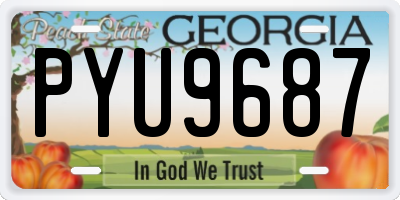 GA license plate PYU9687