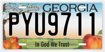 GA license plate PYU9711