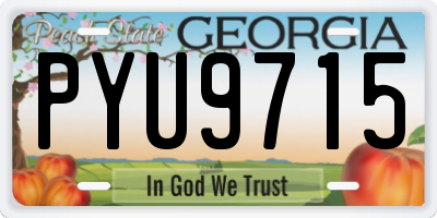 GA license plate PYU9715