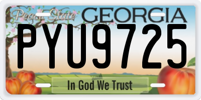 GA license plate PYU9725