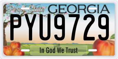 GA license plate PYU9729