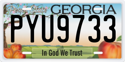 GA license plate PYU9733