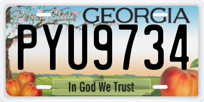 GA license plate PYU9734