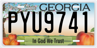 GA license plate PYU9741