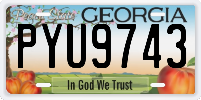 GA license plate PYU9743