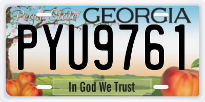 GA license plate PYU9761