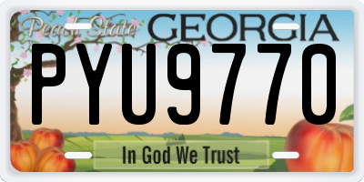 GA license plate PYU9770
