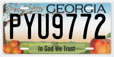 GA license plate PYU9772