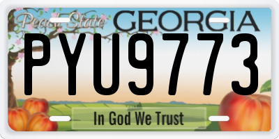 GA license plate PYU9773