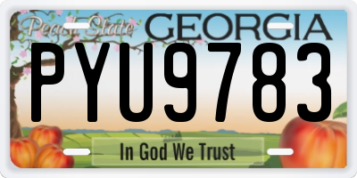 GA license plate PYU9783