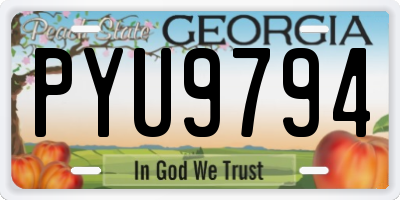 GA license plate PYU9794