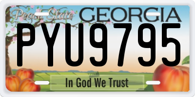 GA license plate PYU9795