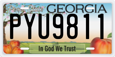 GA license plate PYU9811