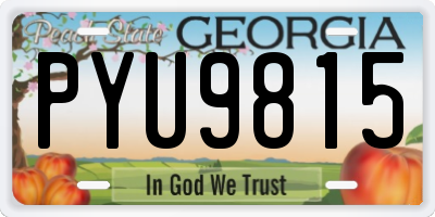GA license plate PYU9815