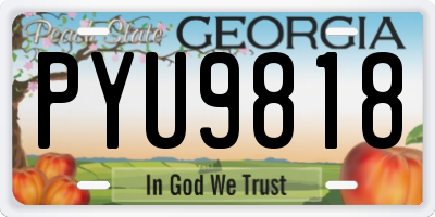 GA license plate PYU9818