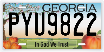 GA license plate PYU9822
