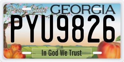 GA license plate PYU9826