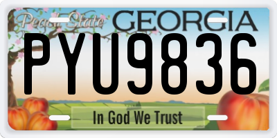 GA license plate PYU9836