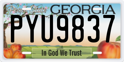GA license plate PYU9837
