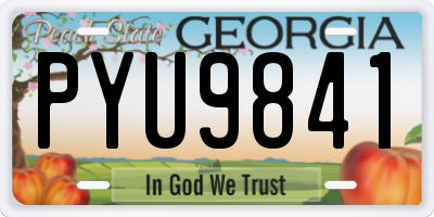 GA license plate PYU9841