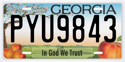 GA license plate PYU9843
