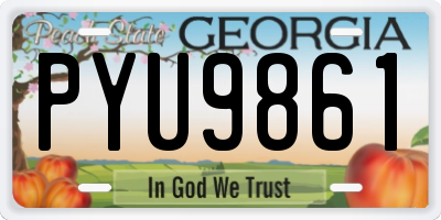 GA license plate PYU9861
