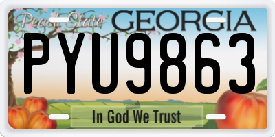 GA license plate PYU9863