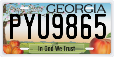 GA license plate PYU9865
