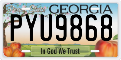 GA license plate PYU9868