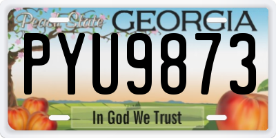 GA license plate PYU9873