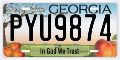 GA license plate PYU9874