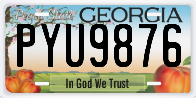 GA license plate PYU9876
