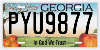GA license plate PYU9877