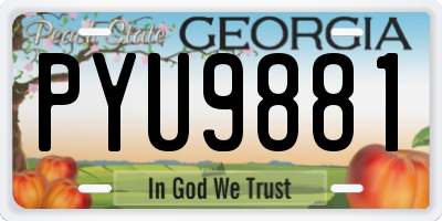 GA license plate PYU9881