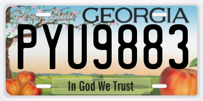 GA license plate PYU9883