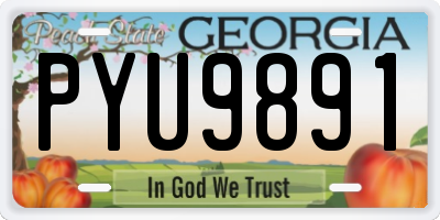 GA license plate PYU9891
