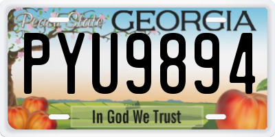 GA license plate PYU9894