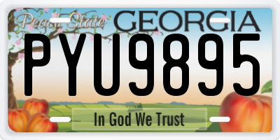 GA license plate PYU9895