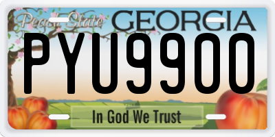 GA license plate PYU9900