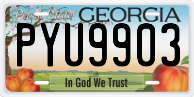 GA license plate PYU9903