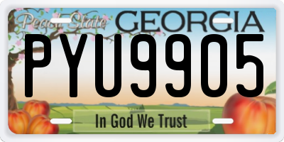 GA license plate PYU9905