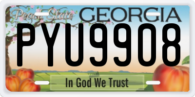 GA license plate PYU9908