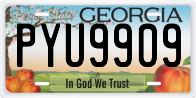 GA license plate PYU9909