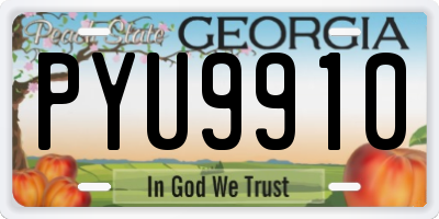 GA license plate PYU9910