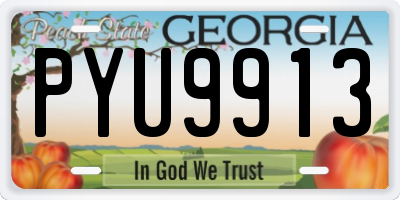 GA license plate PYU9913