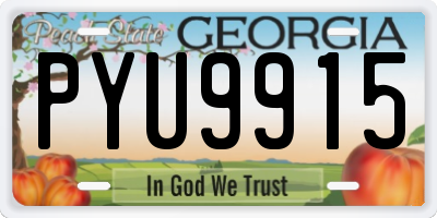 GA license plate PYU9915