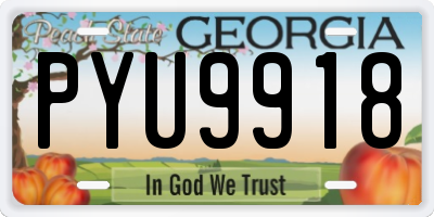 GA license plate PYU9918