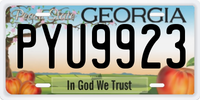 GA license plate PYU9923