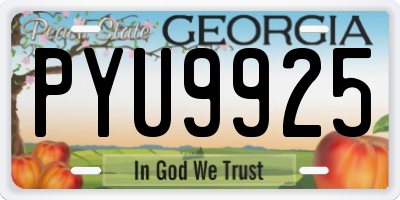 GA license plate PYU9925